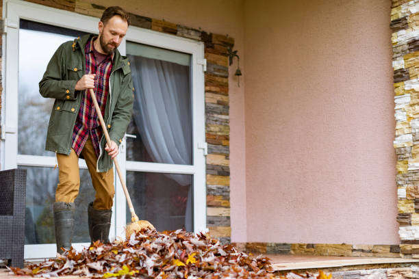 Yard Cleanup Services in Lake City, IA