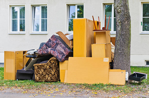 Best Yard Waste Removal  in Lake City, IA